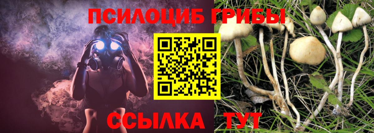 Первоуральск  Галлюциногенные грибы ЛСД  Вход с VPN 