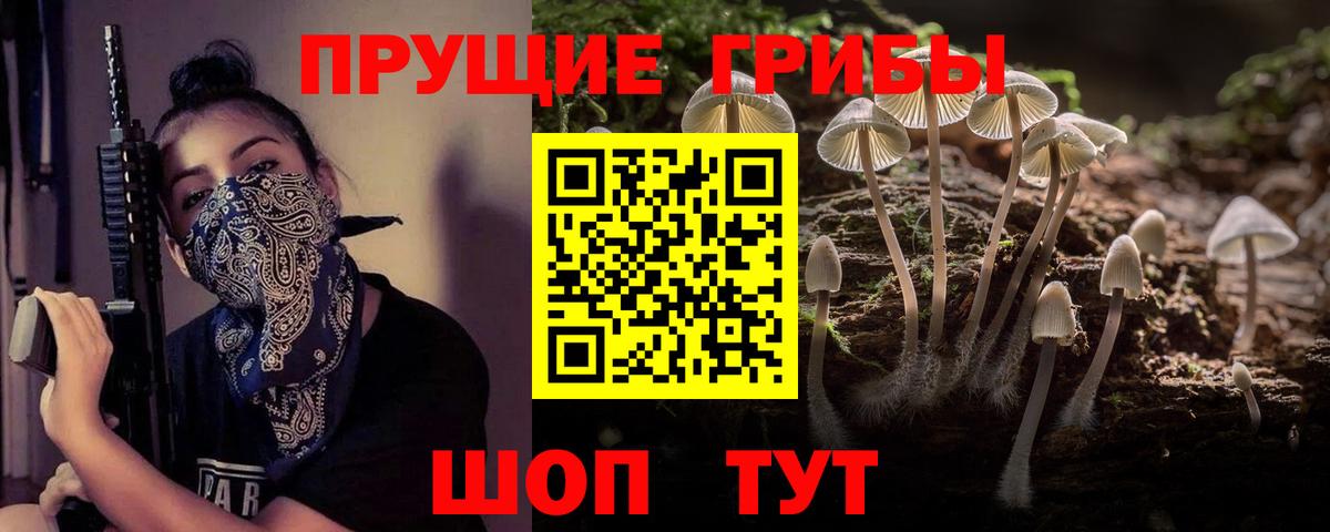 Псилоцибиновые грибы Psilocybe Первоуральск